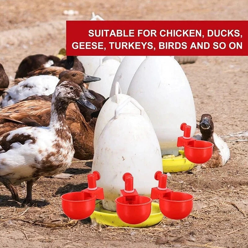 🦆🐔 【Kup 10, otrzymasz 10 gratis】【20 sztuk】Automatyczna miska do pojenia drobiu