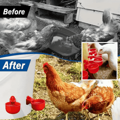 🦆🐔 【Kup 10, otrzymasz 10 gratis】【20 sztuk】Automatyczna miska do pojenia drobiu