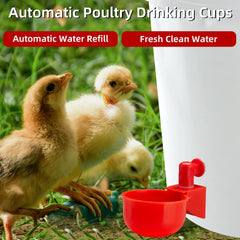 🦆🐔 【Kup 10, otrzymasz 10 gratis】【20 sztuk】Automatyczna miska do pojenia drobiu