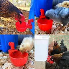 🦆🐔 【Kup 10, otrzymasz 10 gratis】【20 sztuk】Automatyczna miska do pojenia drobiu