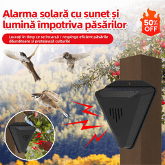 🔥Gorąca sprzedaż-49% off 🔥📣Uniwersalny odstraszacz ptaków zasilany energią słoneczną z alarmem dźwiękowym i świetlnym do sadów, stawów i pól ryżowych